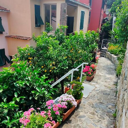 Affittacamere Fiorella Riomaggiore Exteriér fotografie