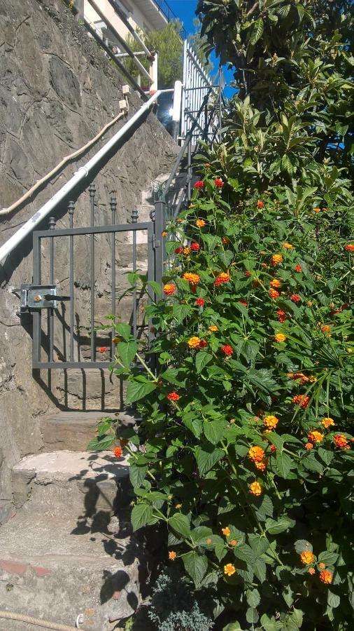 Affittacamere Fiorella Riomaggiore Exteriér fotografie
