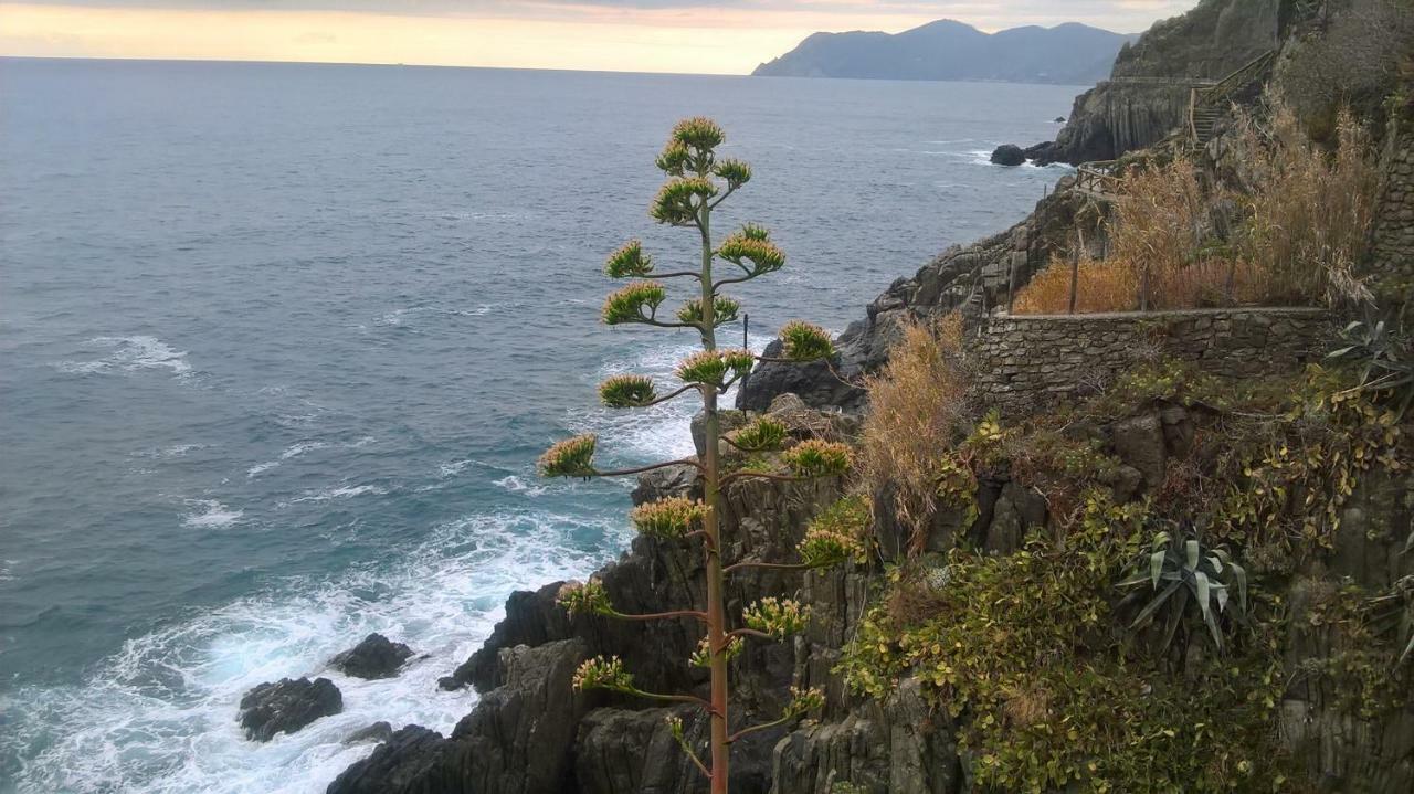 Affittacamere Fiorella Riomaggiore Exteriér fotografie